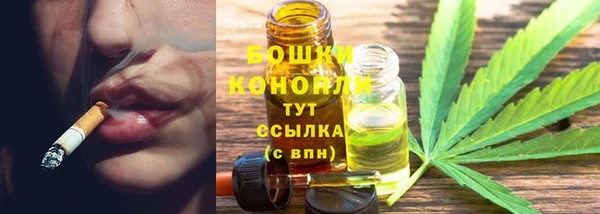мдпв Горнозаводск