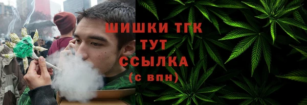 мет Гусев