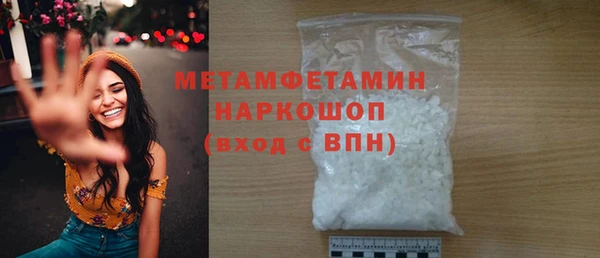 гидра Горняк