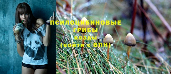 мет Гусев