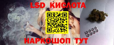 винт Донецк