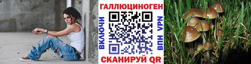 Псилоцибиновые грибы мицелий Кудрово
